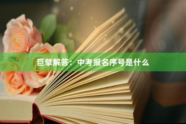 巨擘解答：中考报名序号是什么